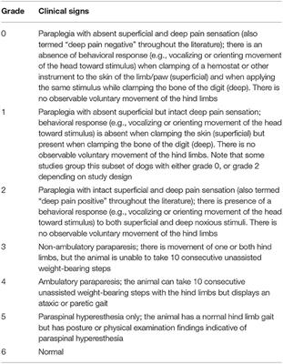 Current Approaches to the Management of Acute Thoracolumbar Disc Extrusion in Dogs